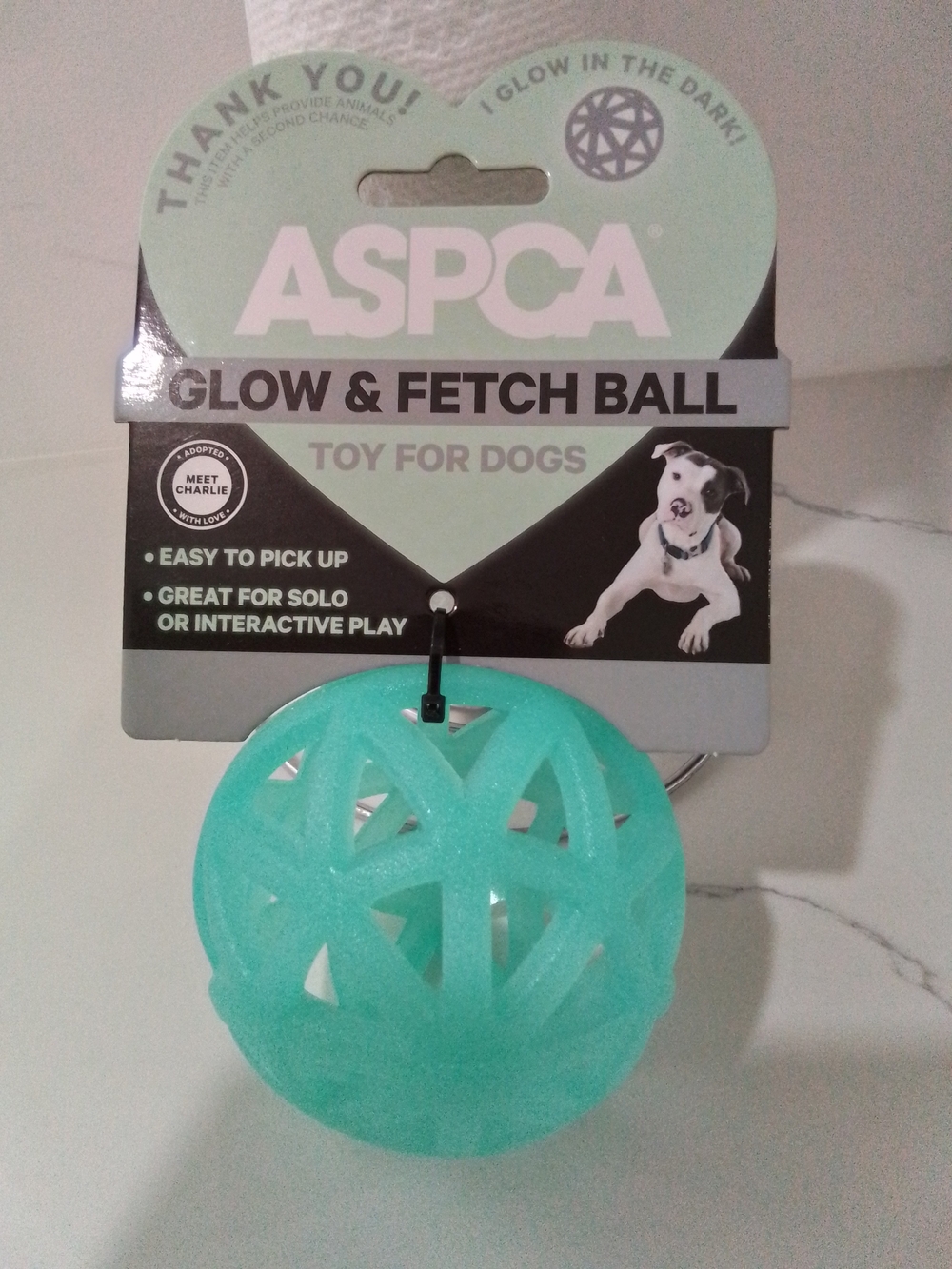 ASPCA Glow & Fetch Ball - Teal Glow Dog Toy Set